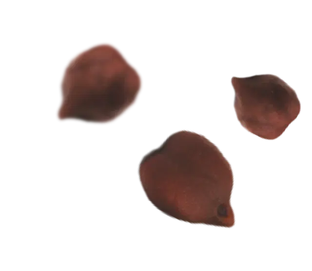 p-image